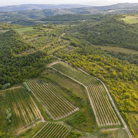 Σπίτι διακοπών Anita By Interhome Momjan